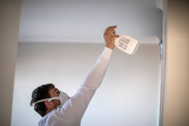  Roseville, CA Mold Removal Pros