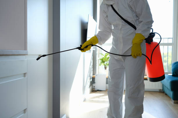 Best Professional Mold Removal  in Roseville, CA
